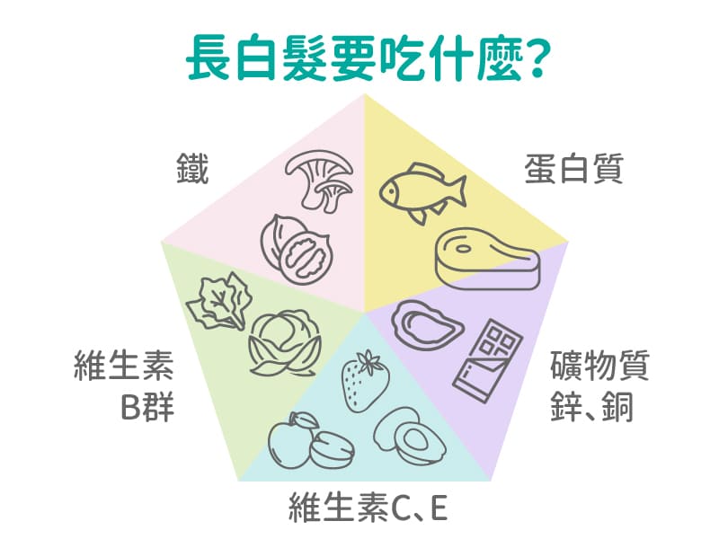 長白髮的飲食建議是多攝取含鐵、蛋白質、礦物質(鋅、銅)、B群、維生素C、E的食物